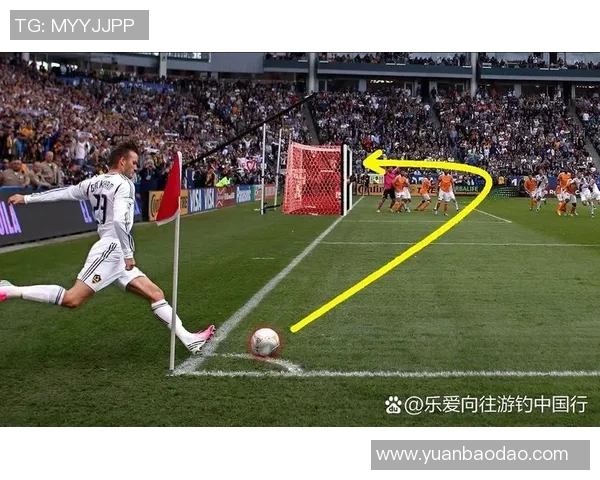 足球发际线的秘密与魅力探讨如何影响球员表现与形象塑造